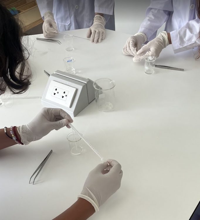Students carrying out a practical chemistry investigation